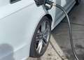 Audi A6 A6  S-line Pano Standh AHK Luft Bose 8fach 20“ Weiß - thumbnail 15