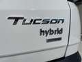 Hyundai TUCSON 1.6 CRDI 100kW (136CV) 48V Style DCT 4x4 - thumbnail 25