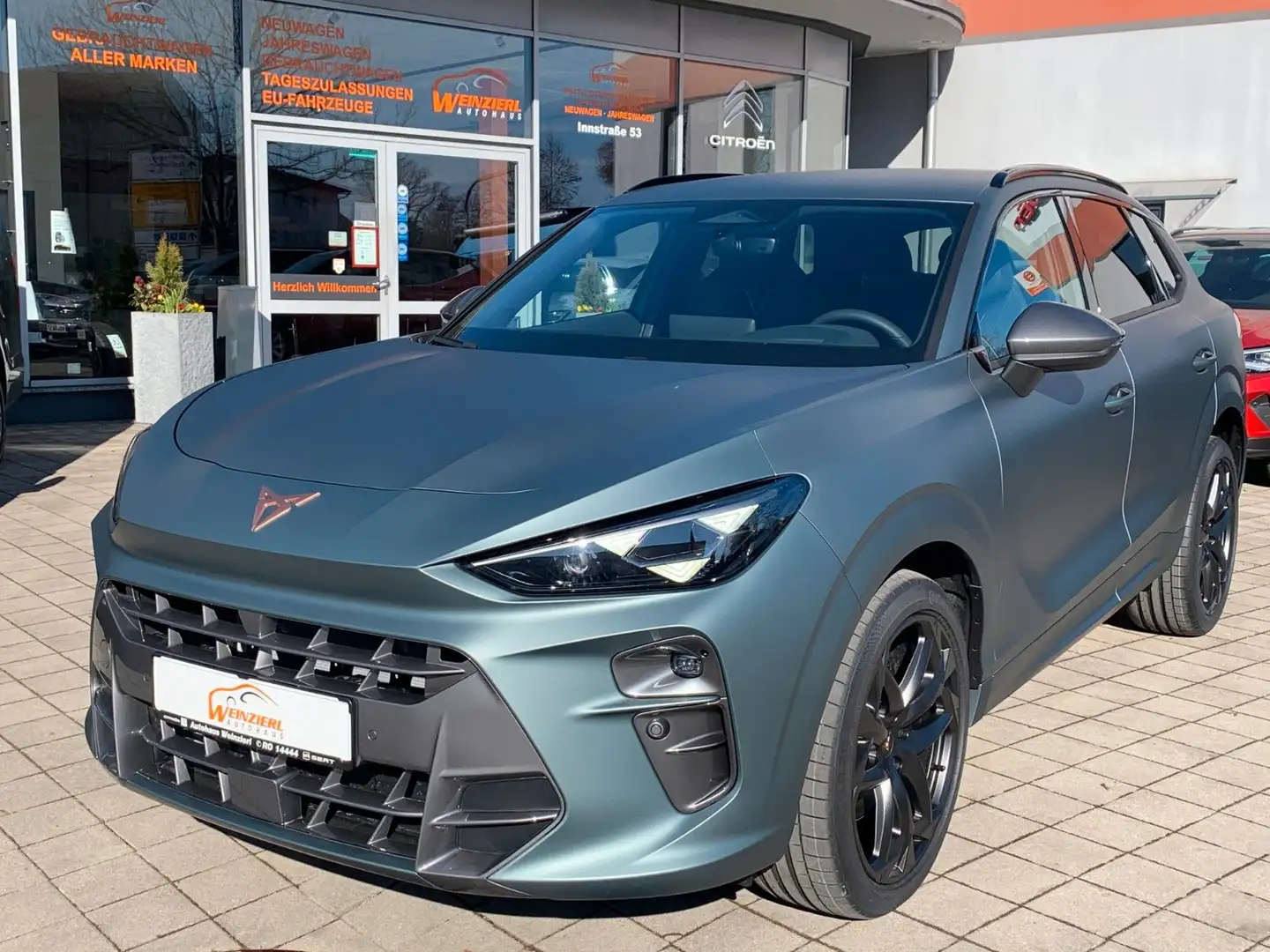 CUPRA Terramar 2.0 TSI 195kW AM. CUP L. ED. DSG 4Drive Grau - 1