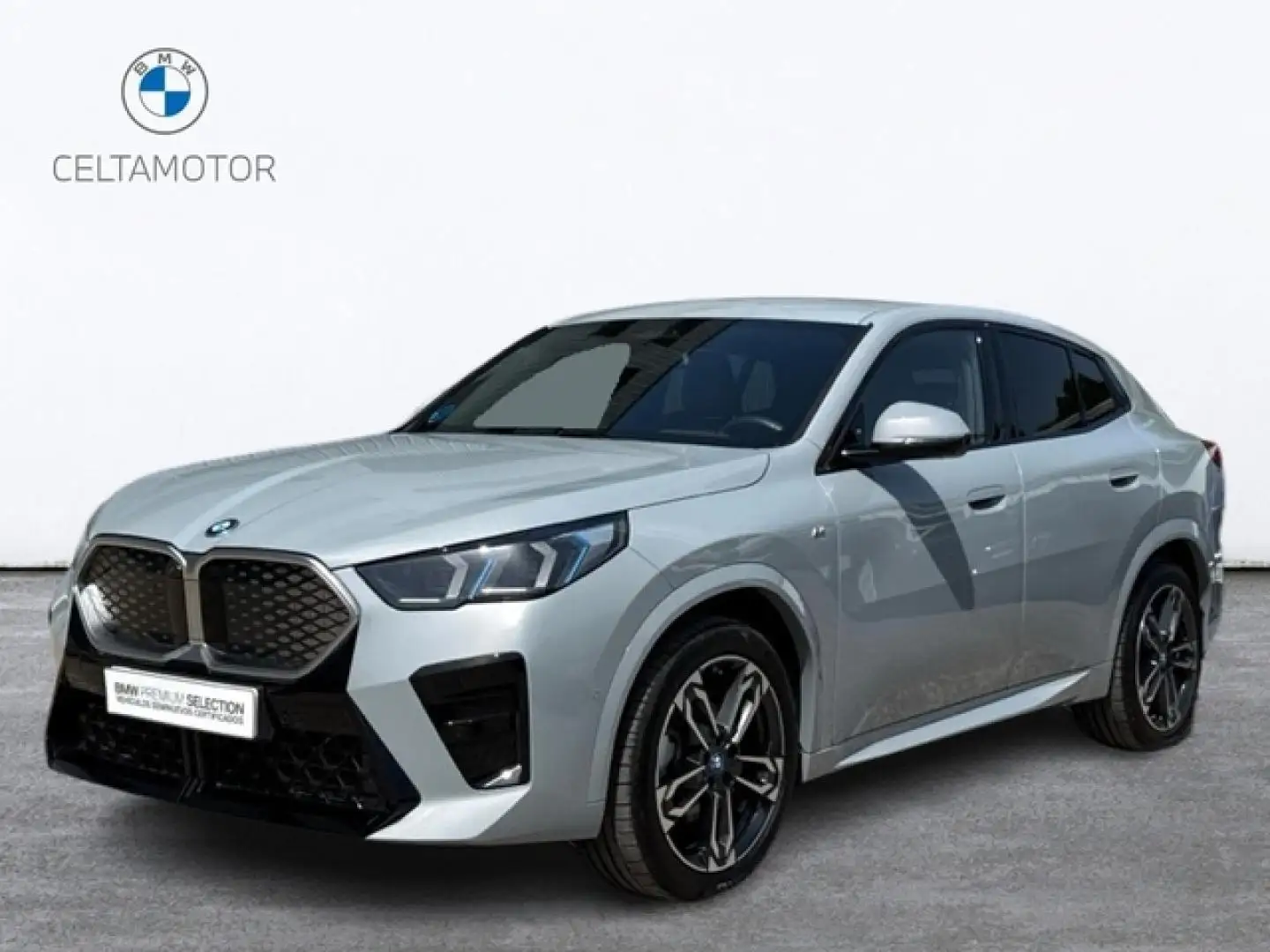 BMW iX2 eDrive20A Gris - 1
