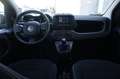 Fiat Panda 1.0 FireFly S&S Hybrid PROMOZIONE Unicoproprietar Nero - thumbnail 2
