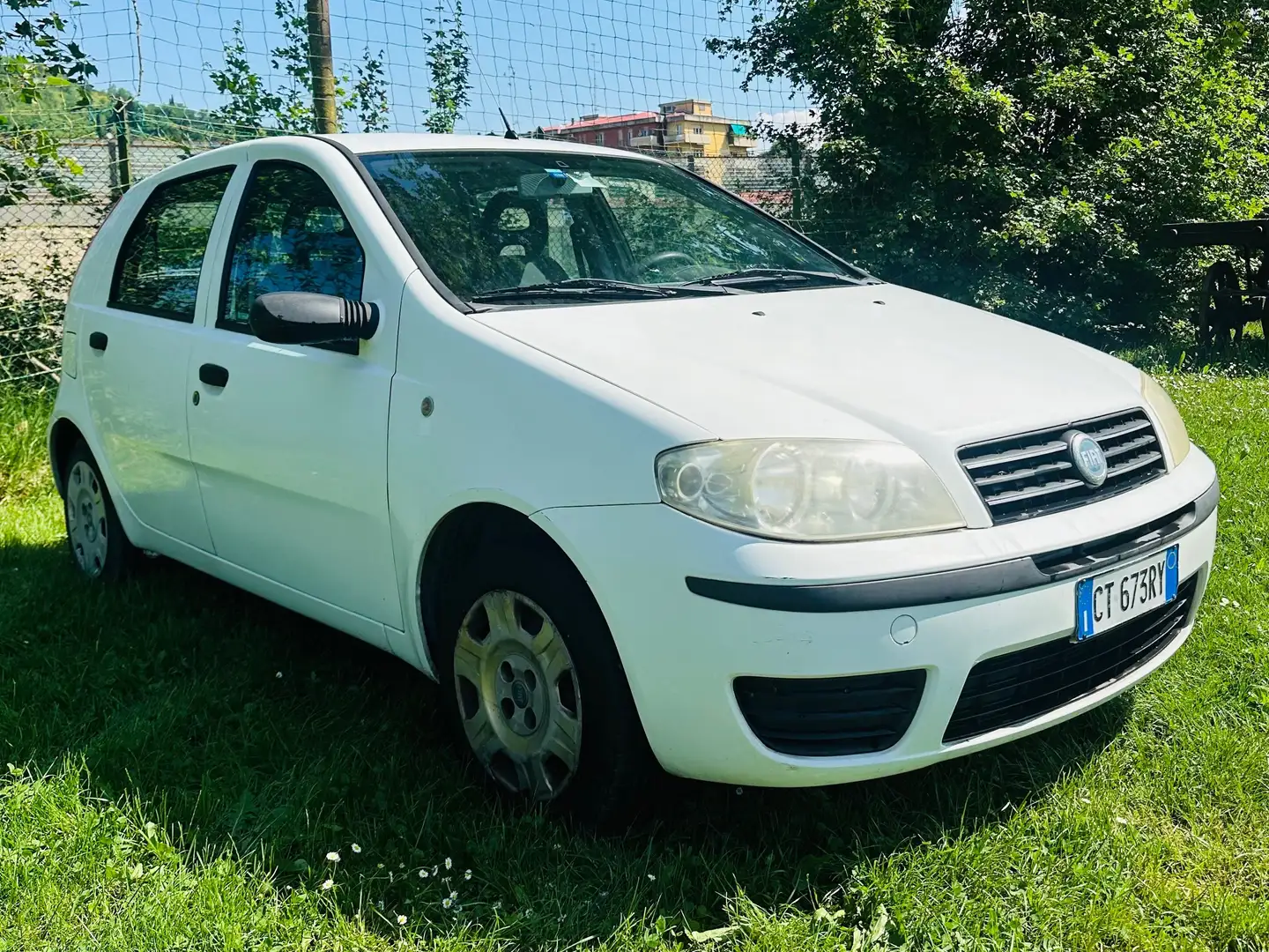 Fiat Punto Punto 5p 1.2 Actual abs METANO revisionato 2024 Blanc - 2