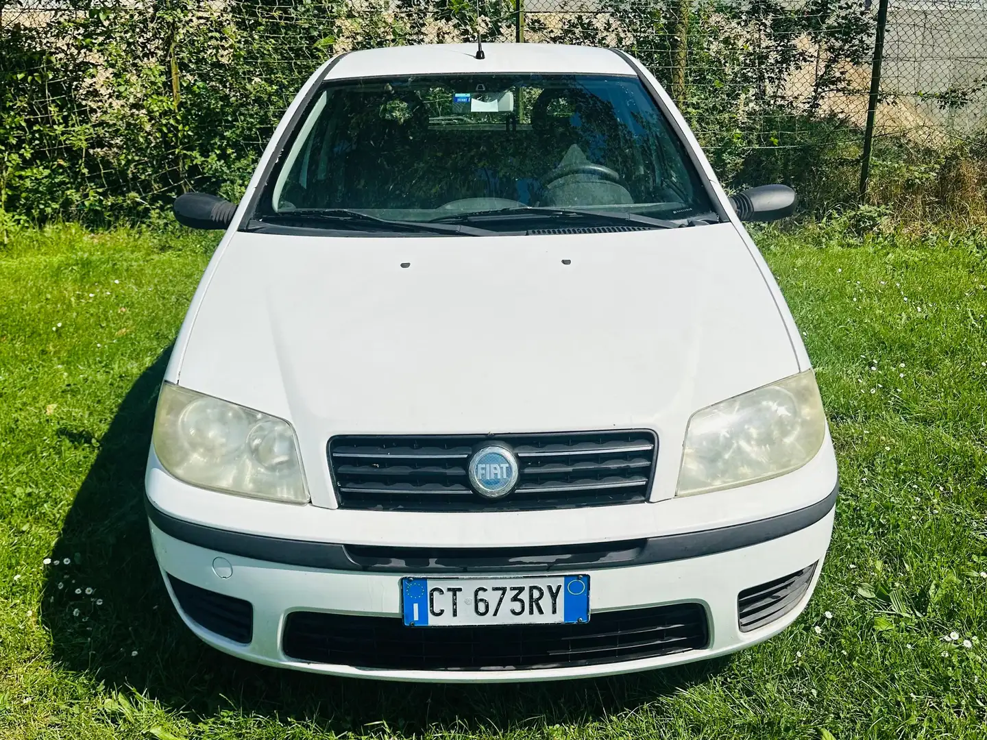 Fiat Punto Punto 5p 1.2 Actual abs METANO revisionato 2024 Blanc - 1