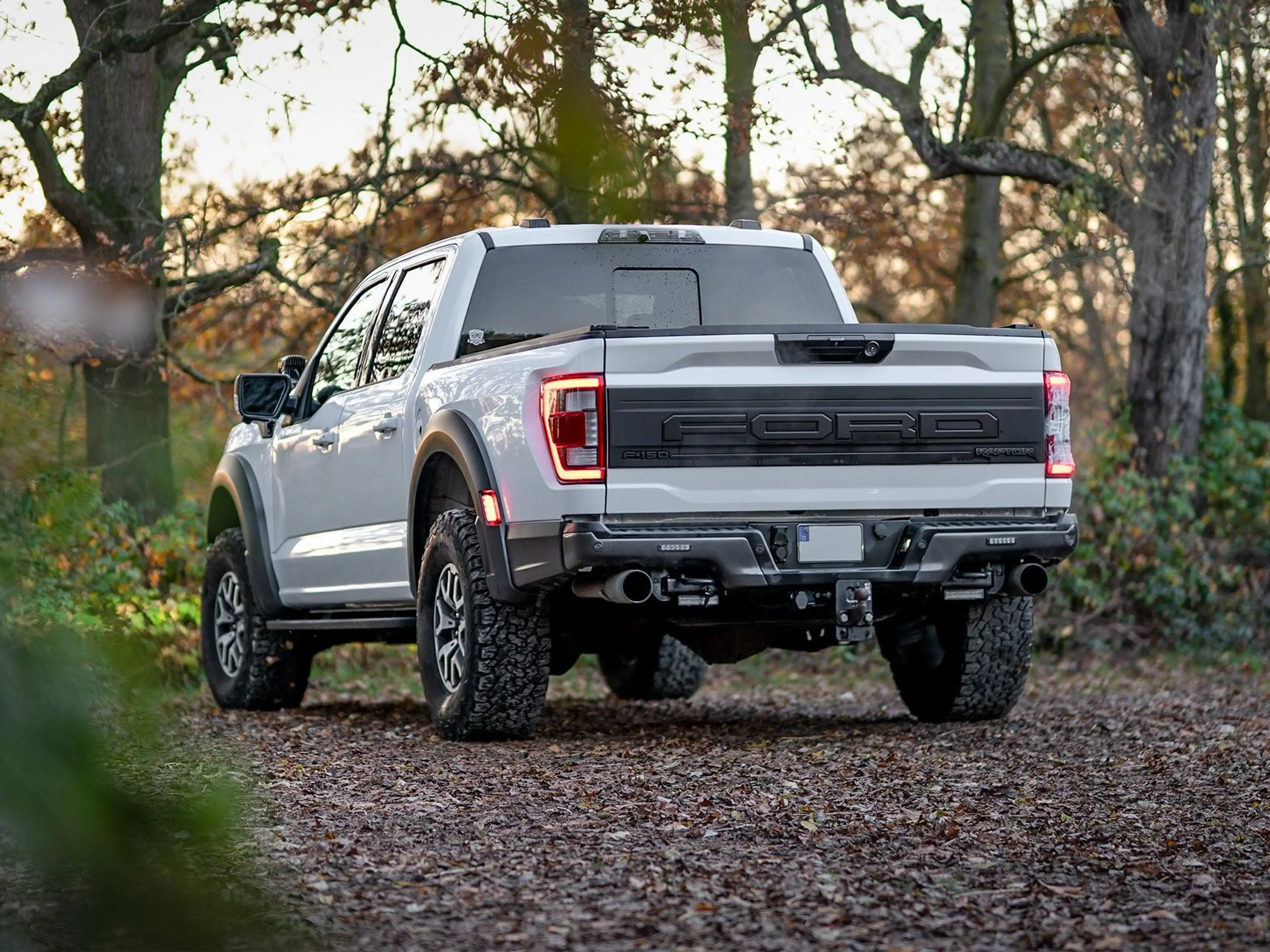 Ford F 150 RAPTOR | 1. HAND | KEIN SALVAGE | SONDERMOD. — photo 7