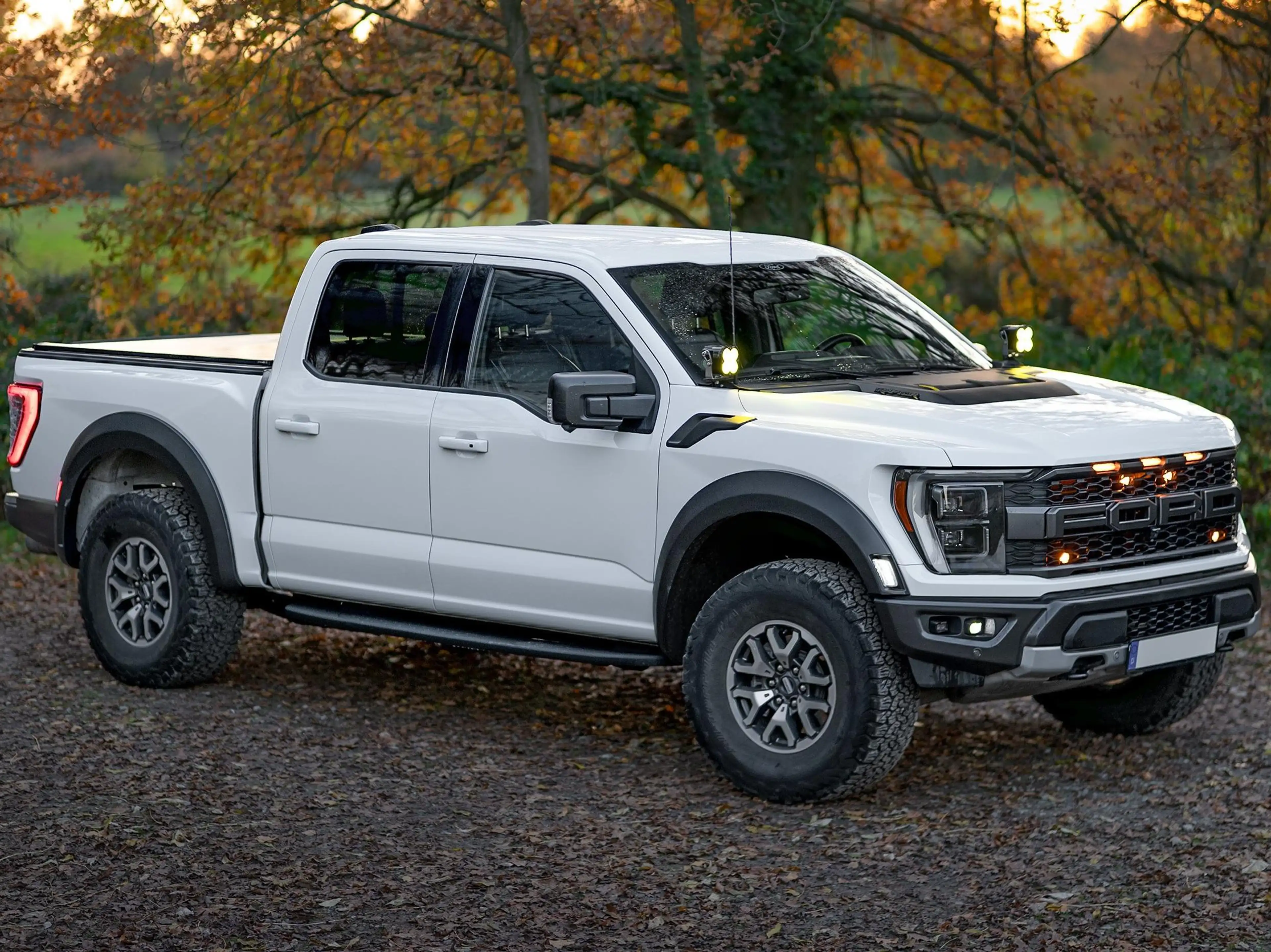Ford F 150 RAPTOR | 1. HAND | KEIN SALVAGE | SONDERMOD. — photo 4