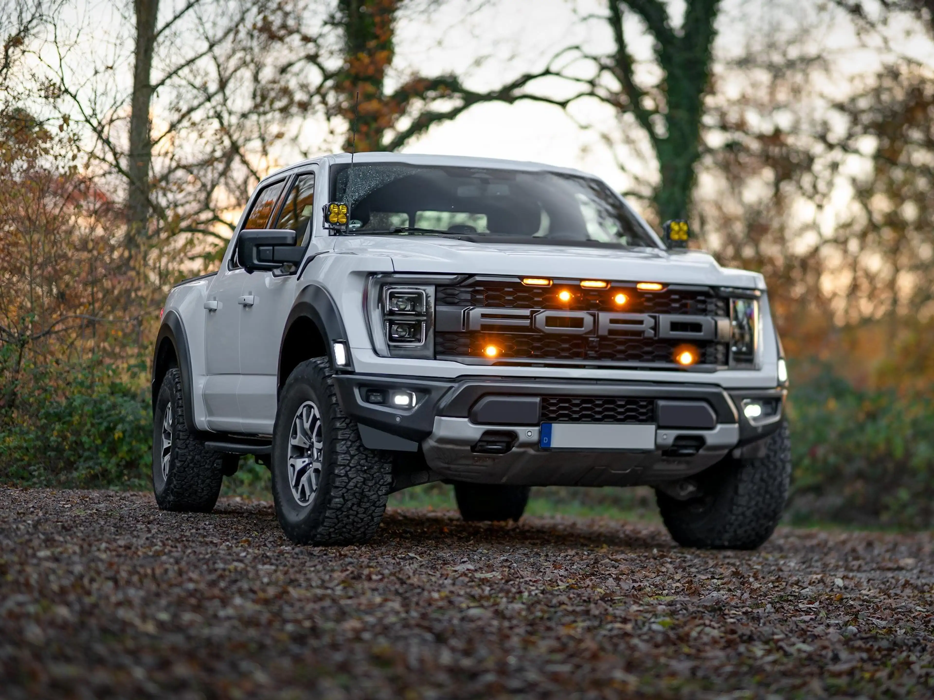 Ford F 150 RAPTOR | 1. HAND | KEIN SALVAGE | SONDERMOD.