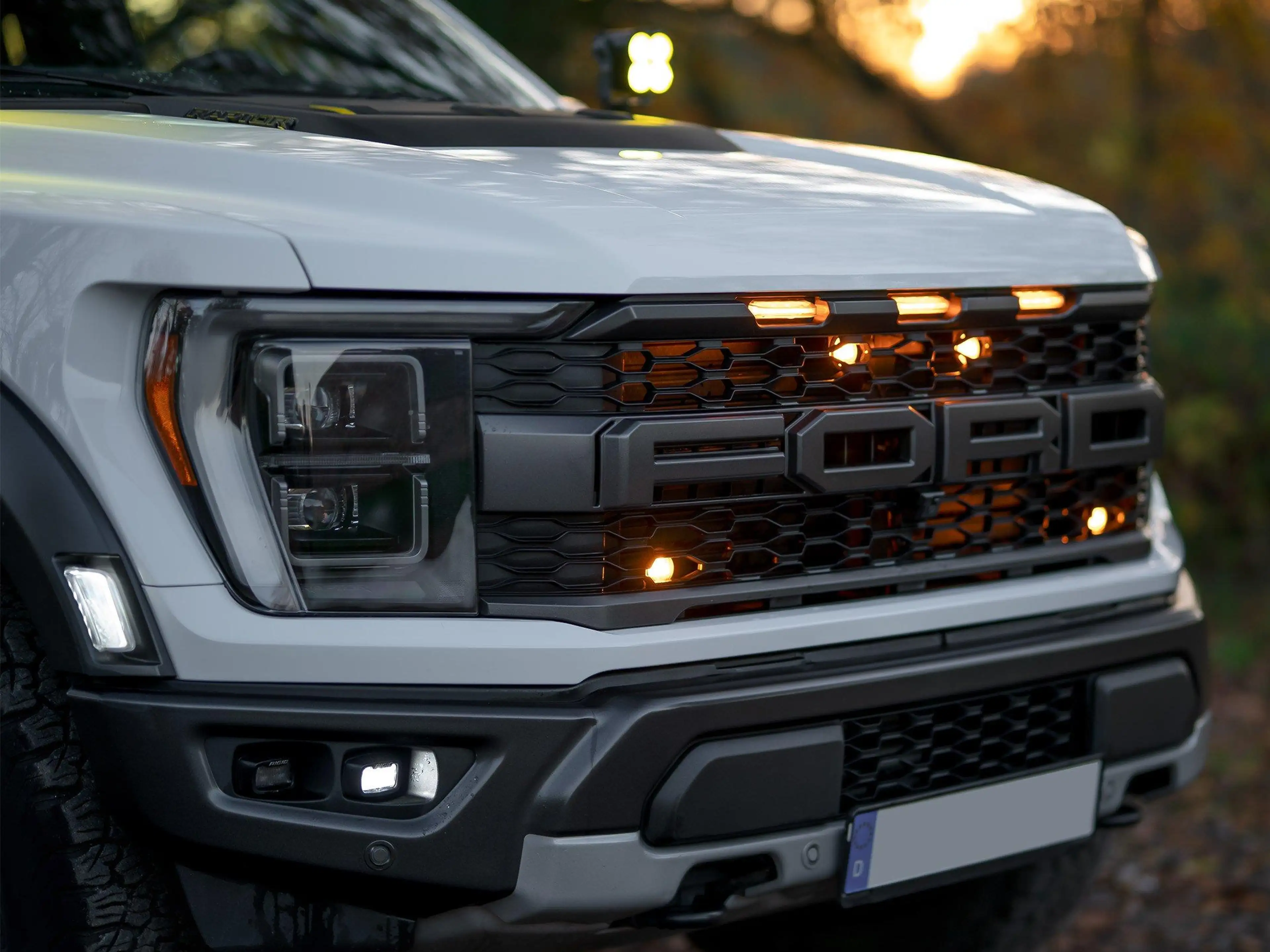 Ford F 150 RAPTOR | 1. HAND | KEIN SALVAGE | SONDERMOD. — photo 6