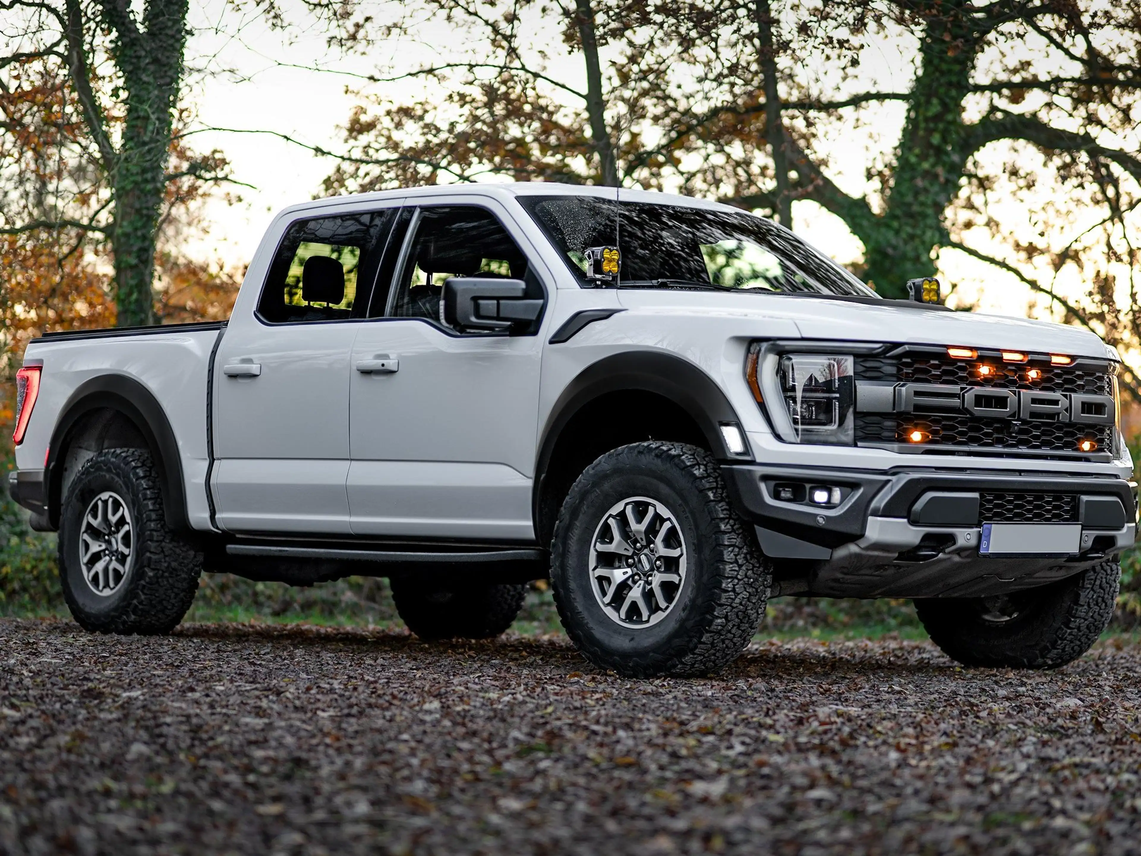 Ford F 150 RAPTOR | 1. HAND | KEIN SALVAGE | SONDERMOD. — photo 3
