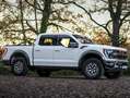 Ford F 150 RAPTOR | 1. HAND | KEIN SALVAGE | SONDERMOD. Weiß - thumbnail 2