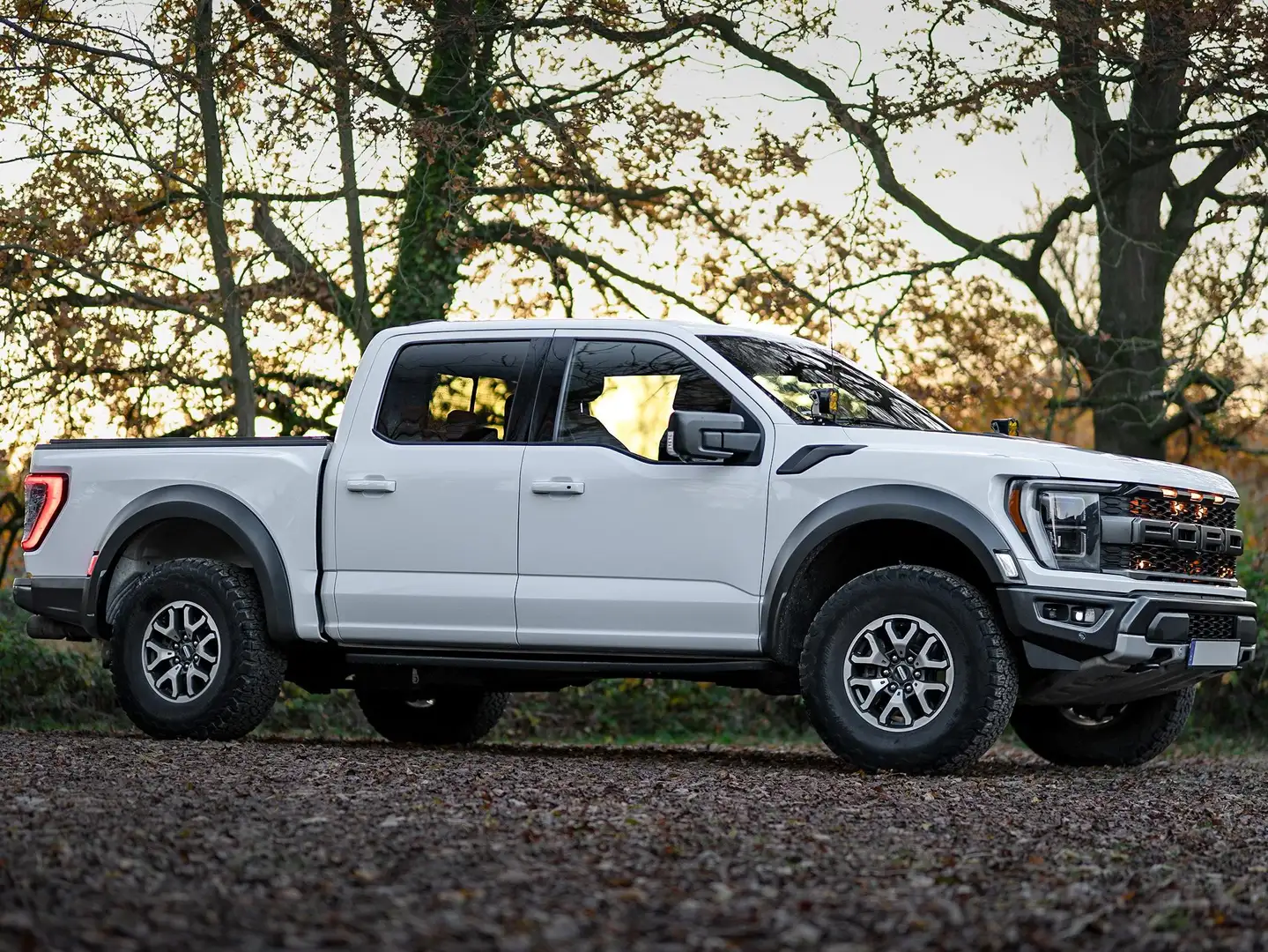 Ford F 150 RAPTOR | 1. HAND | KEIN SALVAGE | SONDERMOD. Weiß - 2