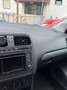 Volkswagen Polo Austria 1,0 - thumbnail 2
