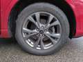 Ford Kuga Hybrid ST-Line X Bluetooth Navi LED Klima Rot - thumbnail 23