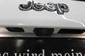 Jeep Cherokee 2,2 M-Jet Longitude LED Sound PTS Bianco - thumbnail 13