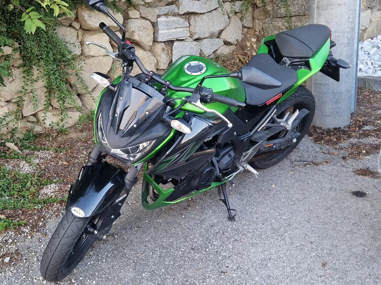 Kawasaki Z 300