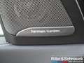 BMW X7 xDrive 40d M-Sport AHK+PANO+STANDHZG+HUD+A Schwarz - thumbnail 17