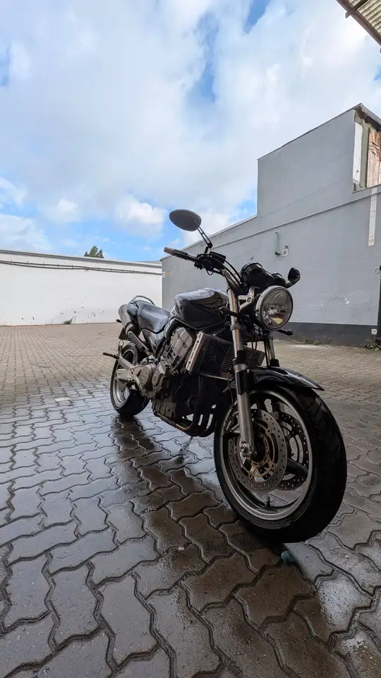 Honda Hornet