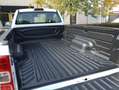 Ford Ranger XL 4x4 Pickup UNIPRO Bianco - thumbnail 8