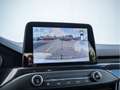 Ford Focus 1.5 EcoBlue ST-Line AHK ACC LED PANO Weiß - thumbnail 13