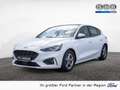 Ford Focus 1.5 EcoBlue ST-Line AHK ACC LED PANO Weiß - thumbnail 1