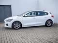 Ford Focus 1.5 EcoBlue ST-Line AHK ACC LED PANO Weiß - thumbnail 3