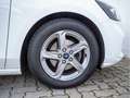 Ford Focus 1.5 EcoBlue ST-Line AHK ACC LED PANO Weiß - thumbnail 7