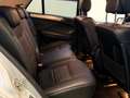 Mercedes-Benz ML 63 AMG ML 63 AMG ML 63 AMG - 22" -TETTO- ASI - STUPENDO Silber - thumbnail 12