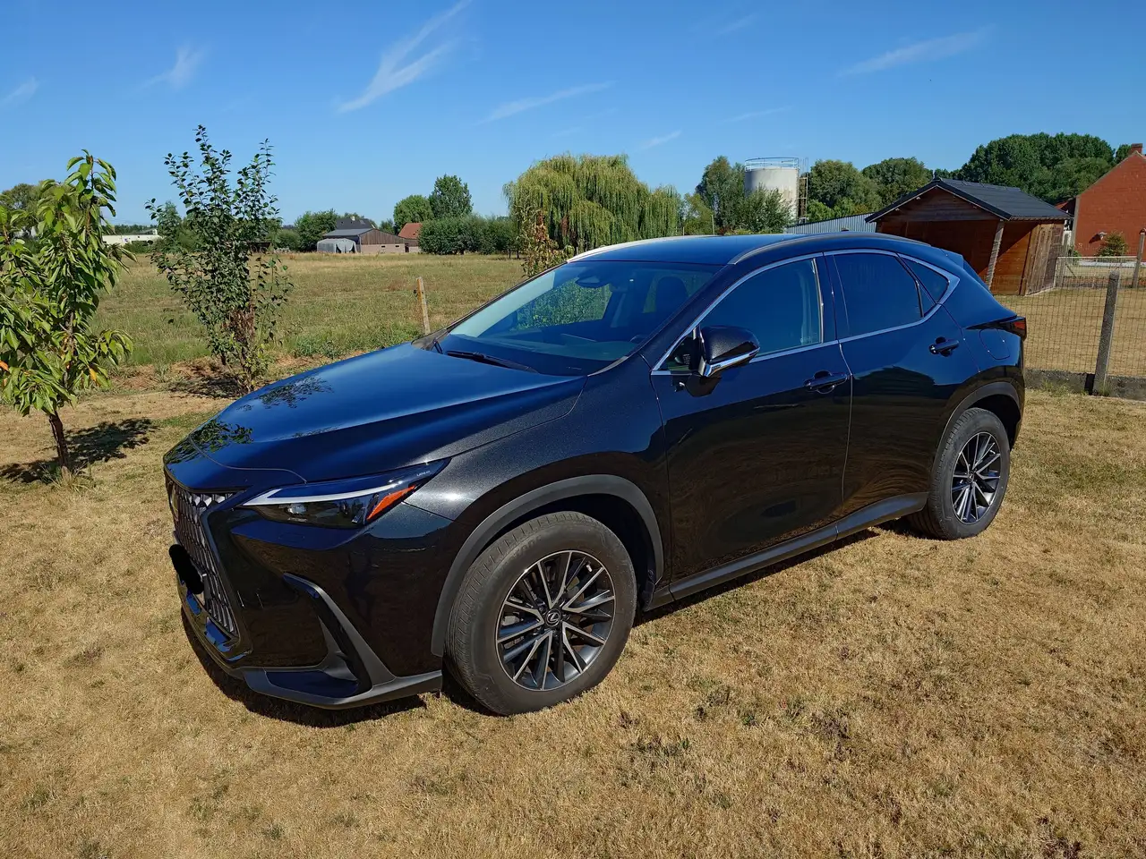 Lexus NX 450h+