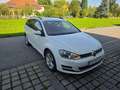 Volkswagen Golf Golf Highline 2,0 BMT TDI DPF 4Motion Highline Weiß - thumbnail 4