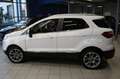 Ford EcoSport 1.0 EcoBoost Titanium  Kamera/PDC/Leder Weiß - thumbnail 2