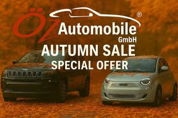 250 Autom. Leder Ambiente Sitzheizung Kamera