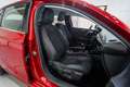 Opel Corsa 1.2T XHL S/S Elegance 100 Rojo - thumbnail 15