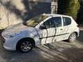 Peugeot 206 206  Junior 1,1 Junior Weiß - thumbnail 1