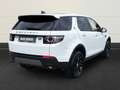 Land Rover Discovery Sport TD4 SE Skyview+Pano+AHK+Motor neu Blanc - thumbnail 4
