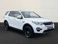 Land Rover Discovery Sport TD4 SE Skyview+Pano+AHK+Motor neu Blanc - thumbnail 6