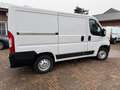 Fiat Ducato Kasten 30 115 L1H1 RS: 3000 mm SORTIMO Weiß - thumbnail 3