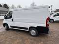 Fiat Ducato Kasten 30 115 L1H1 RS: 3000 mm SORTIMO Weiß - thumbnail 4