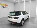 Land Rover Discovery Sport D180 4WD Aut. SE **ACC*LED*WINTERPAKET*ERSTBESITZ* Weiß - thumbnail 2