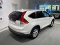 Honda CR-V 2.2 i-DTEC 4wd Executive Weiß - thumbnail 4