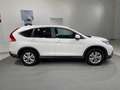 Honda CR-V 2.2 i-DTEC 4wd Executive Weiß - thumbnail 5