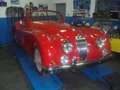Jaguar XK XK140 SE DHC (C-Type engine, Overdrive) Roşu - thumbnail 7