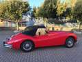 Jaguar XK XK140 SE DHC (C-Type engine, Overdrive) Roşu - thumbnail 11