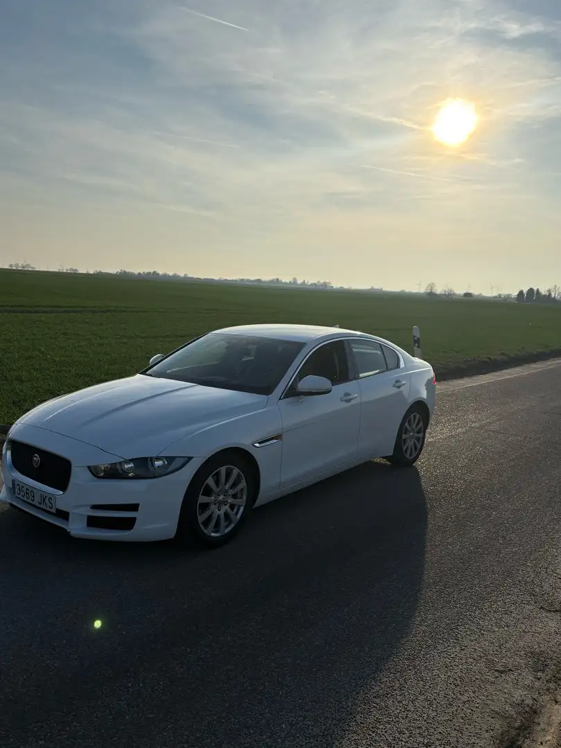 Jaguar XE 2.0 Diesel Prestige Aut. 180 - 1