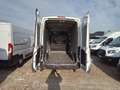Ford Transit Van Trend 350 L3 H3 2.0 EcoBlue 170CV Trazione Ant Bianco - thumbnail 6