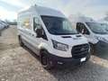 Ford Transit Van Trend 350 L3 H3 2.0 EcoBlue 170CV Trazione Ant Bianco - thumbnail 1