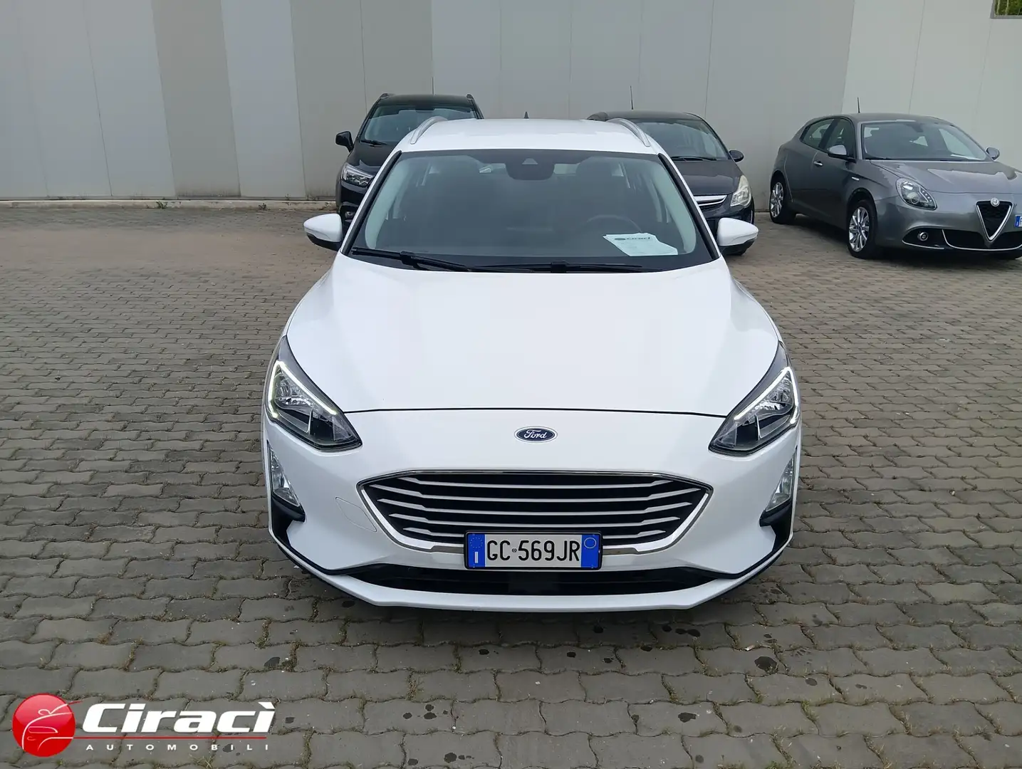 Ford Focus 1.5 EcoBlue 120 CV SW Business Blanc - 2