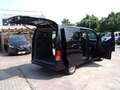 Nissan NV200 /Evalia  Tekna-NAVI Blau - thumbnail 4