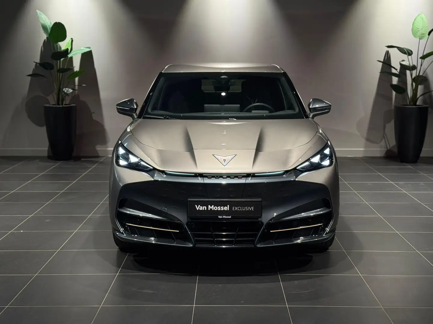 CUPRA Tavascan Endurance Business 77 kWh CARPLAY | STUURWIELVERWA - 2