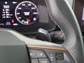 CUPRA Formentor 2.0 TDI 4Drive Aut LED RADAR R-CAM Schwarz - thumbnail 18