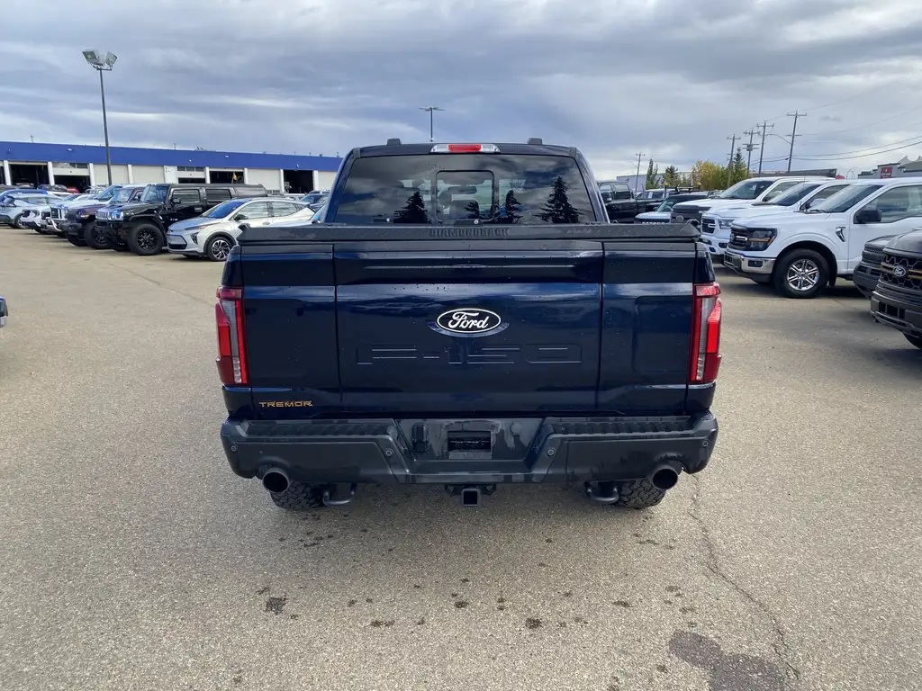 2025 Ford F-150 SuperCrew Tremor SuperCrew 145 | 4X4 | Rear Cam | Parking Se — photo 7