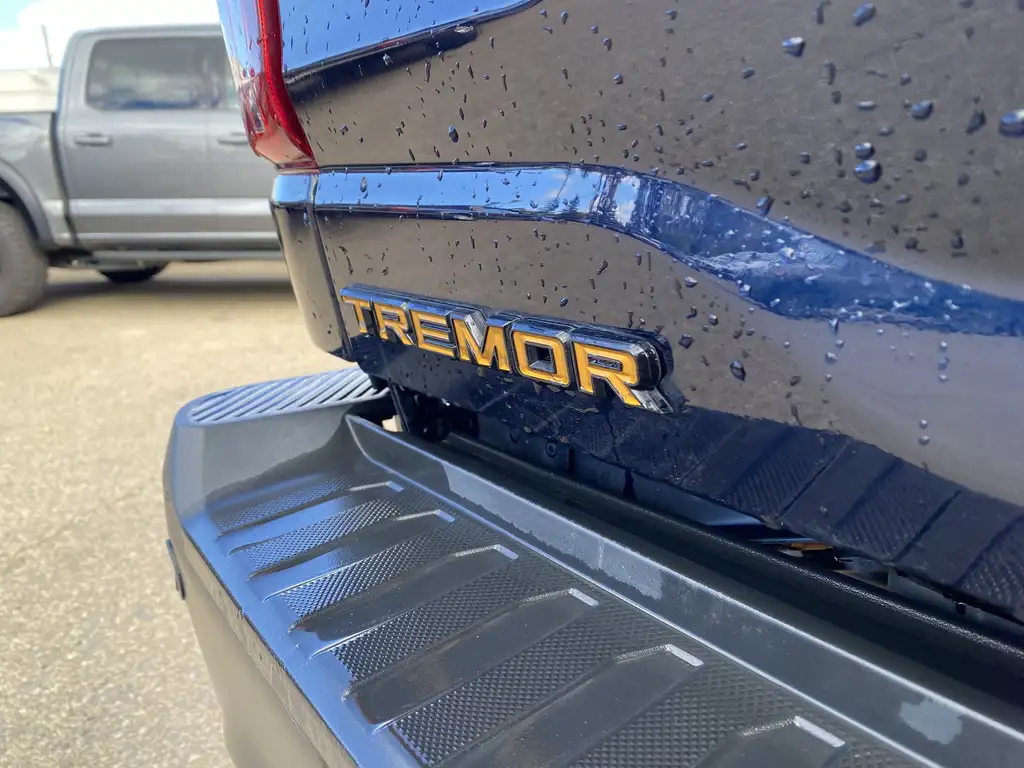 2025 Ford F-150 SuperCrew Tremor SuperCrew 145 | 4X4 | Rear Cam | Parking Se — photo 8